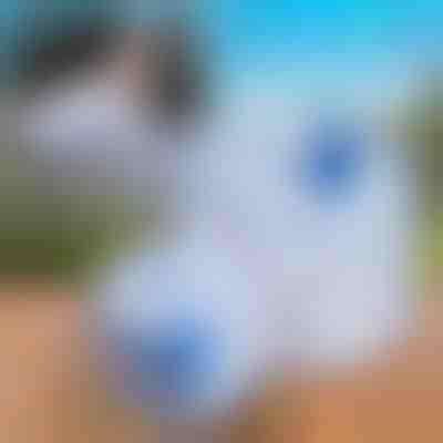 Faltbarer Wassertank (10L) | AQUATANK