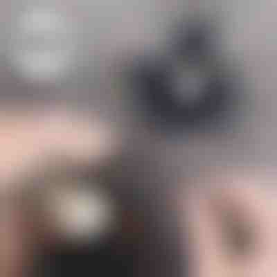 Werkzeugsatz zum Entfernen von Klemmen (26 Stück) | TERMITOOL