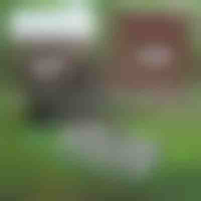 Multifunktionales Gartengerät für die Bodenpflege | PRONGSPRO