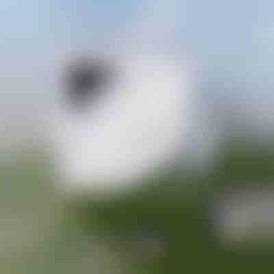 Mühelose Fensterreinigung | WINDOWSWIPE